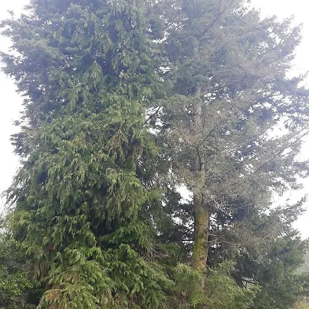 Vakantiehuis House With Shared Pool In Agueda, Mountain View *