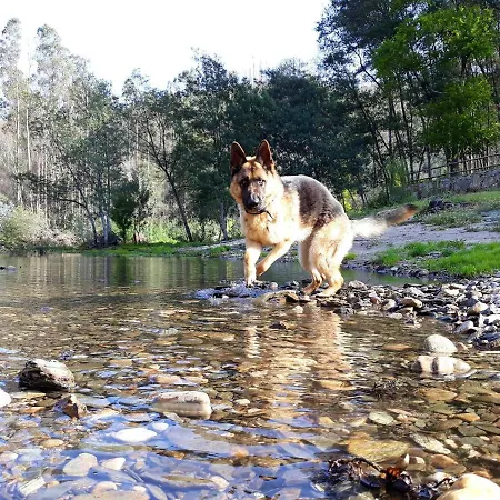 House With Shared Pool In Agueda, Mountain View Vakantiehuis