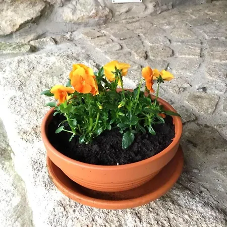 Vakantiehuis House With Shared Pool In Agueda, Mountain View *