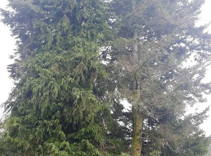 Prázdninový dům House With Shared Pool In Agueda, Mountain View *