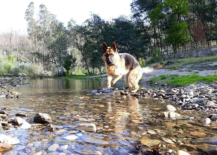House With Shared Pool In Agueda, Mountain View Prázdninový dům