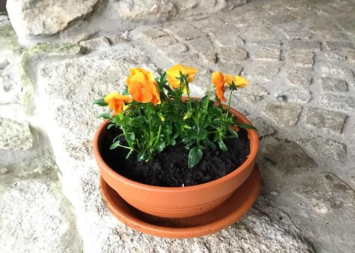 Prázdninový dům House With Shared Pool In Agueda, Mountain View *